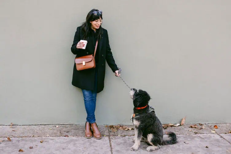 Henri and me everyday parisian