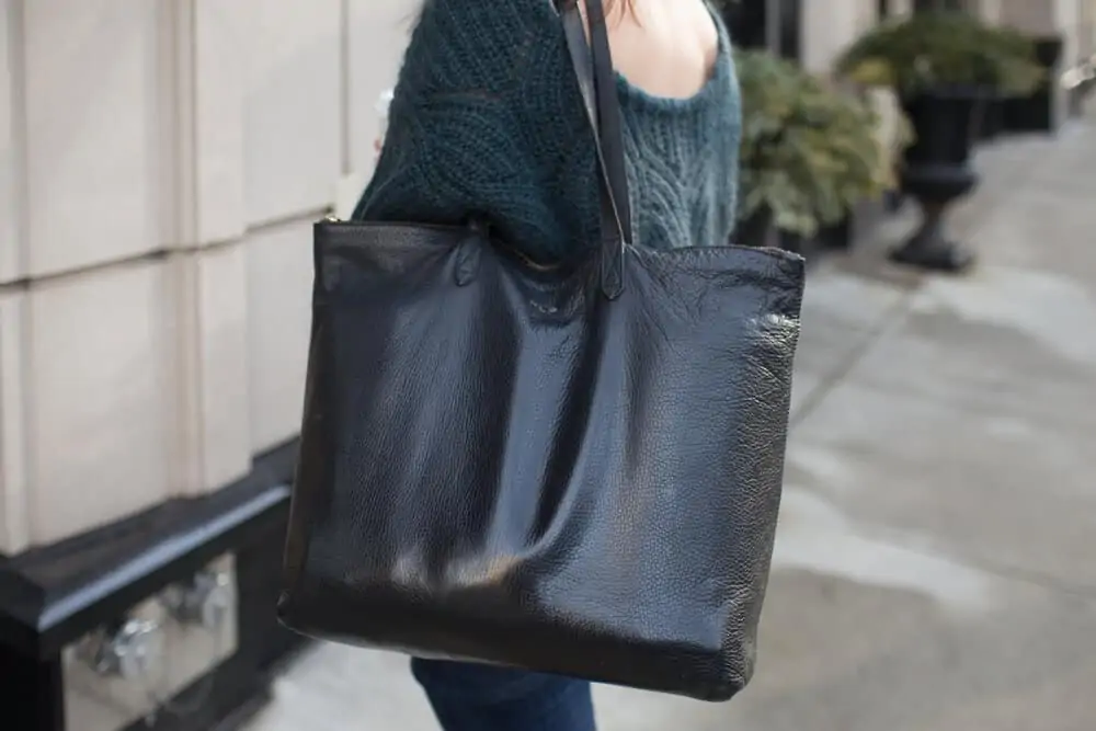 cuyana top zip bag