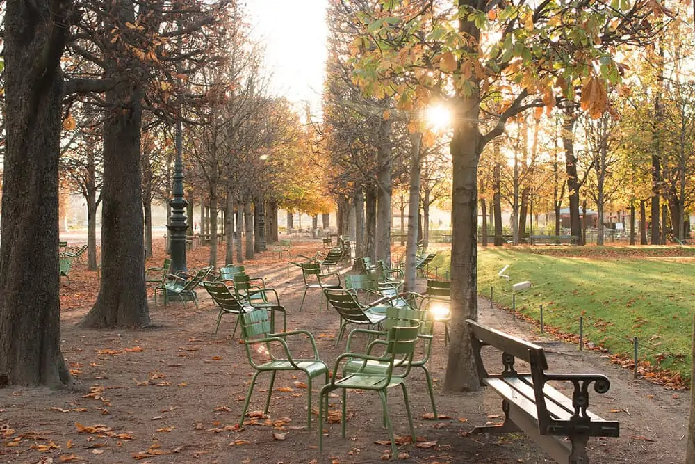 golden light Paris september