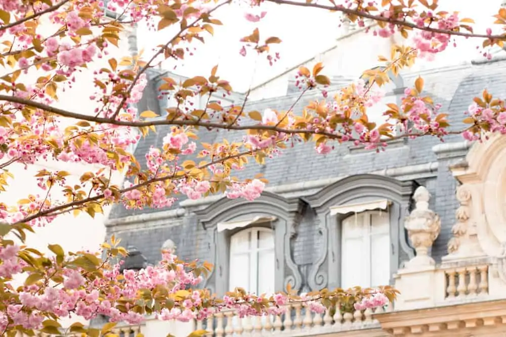 Parc Monceau in Bloom