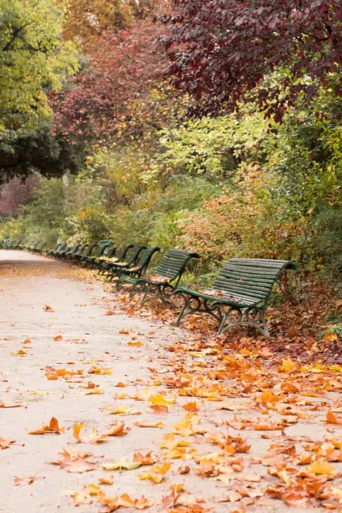 benches in the park benches in the park