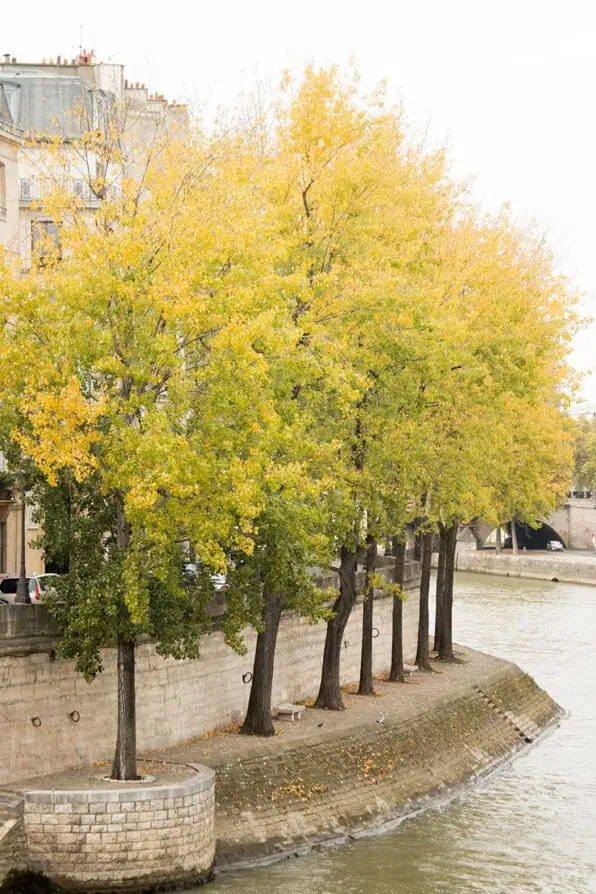 Paris in September